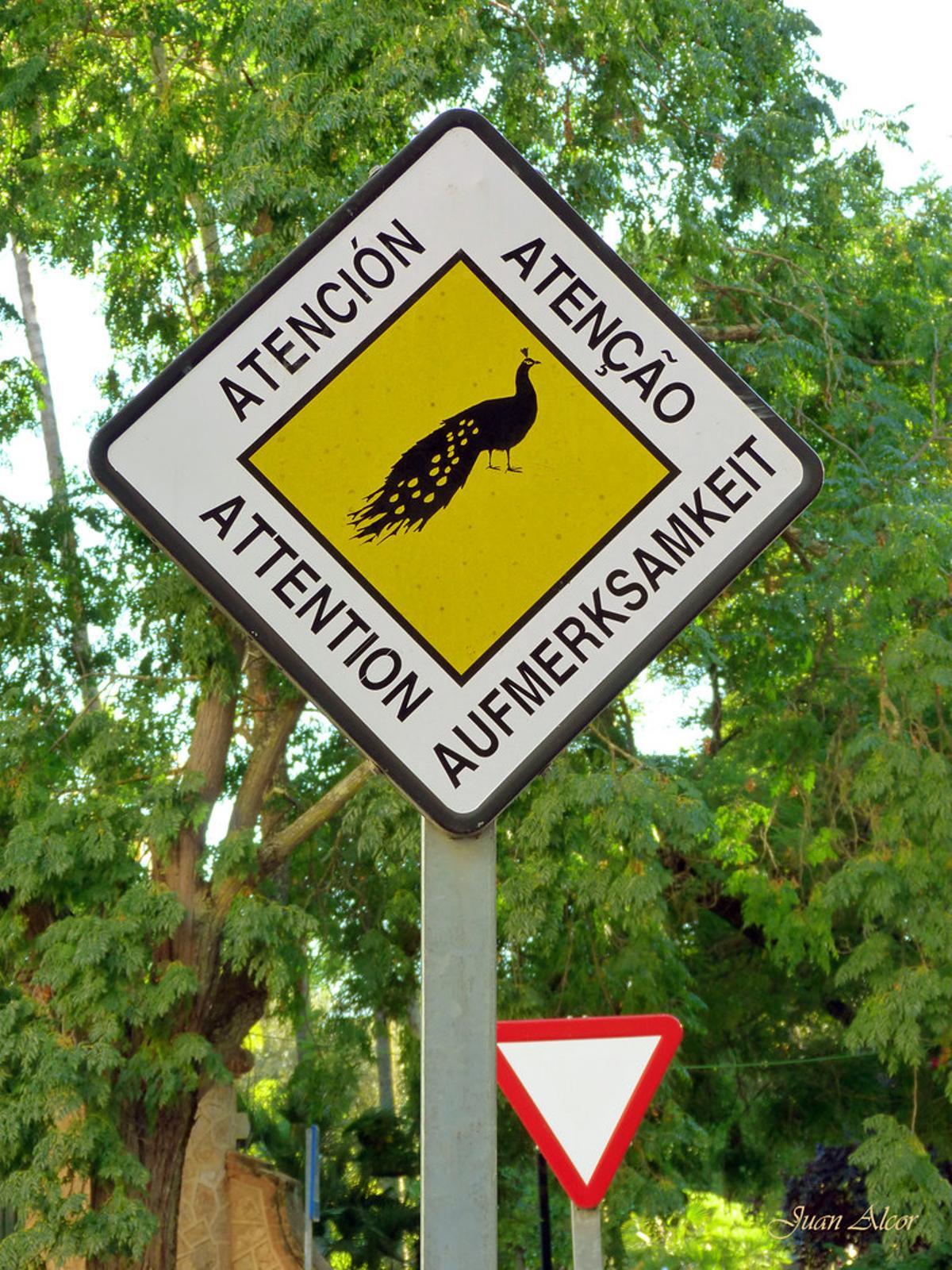 Señal de tráfico alertando de la presencia de pavos reales en el parque de Castelar de Badajoz.