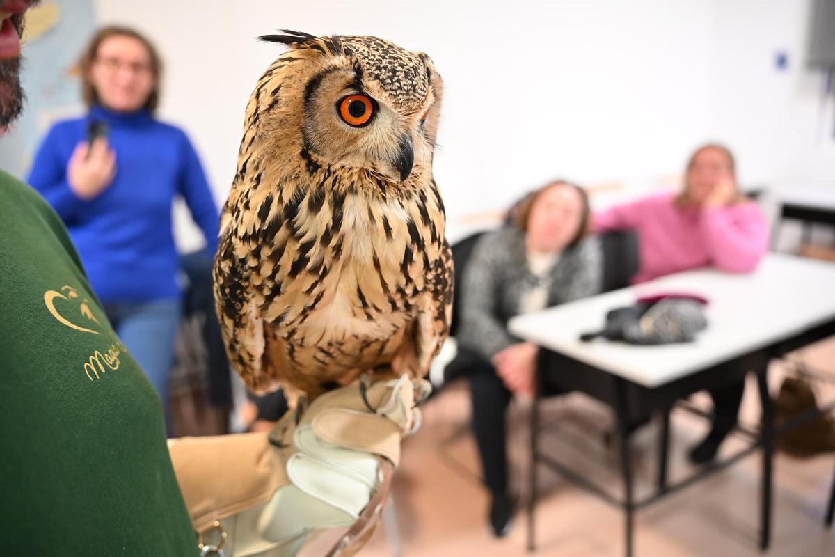 Terapia con aves rapaces para personas con diversidad funcional