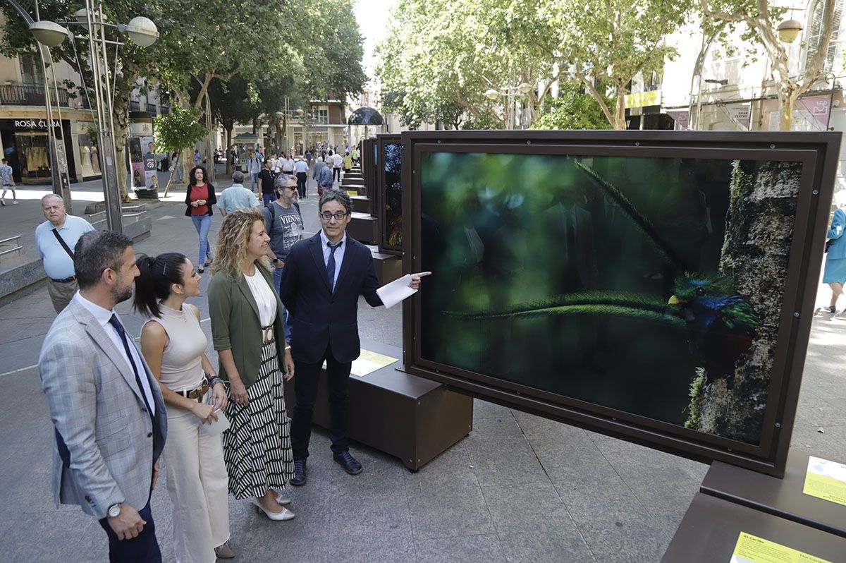 Las fotos de National Geographic en la Bienal de Córdoba