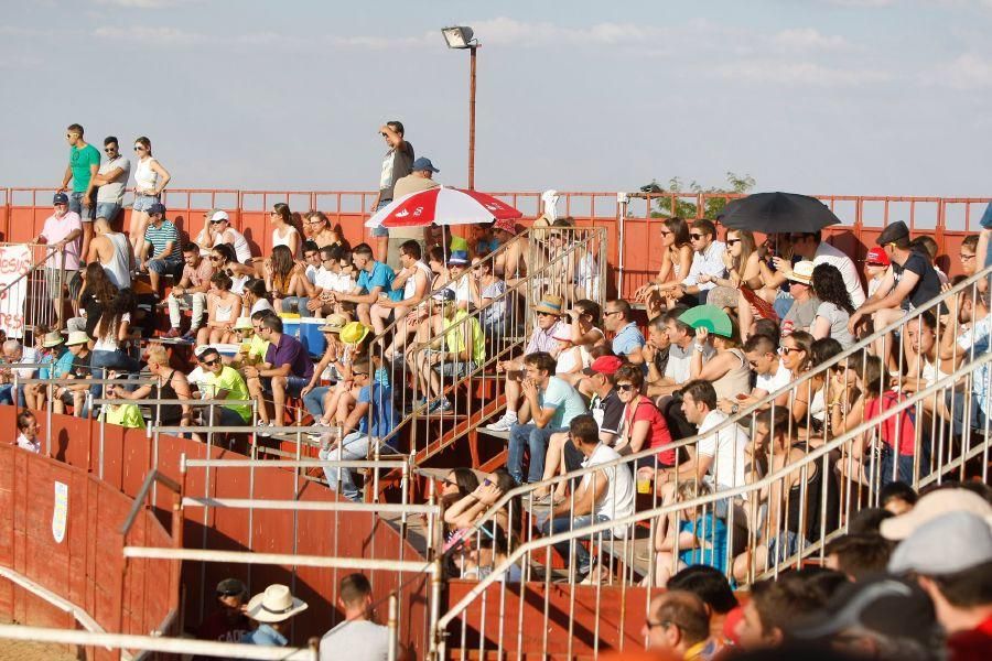 Fiestas en Zamora: Recortes en Villalpando