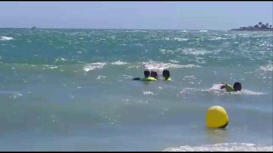 Rescatan a una cría de delfín en una playa de Benalmádena