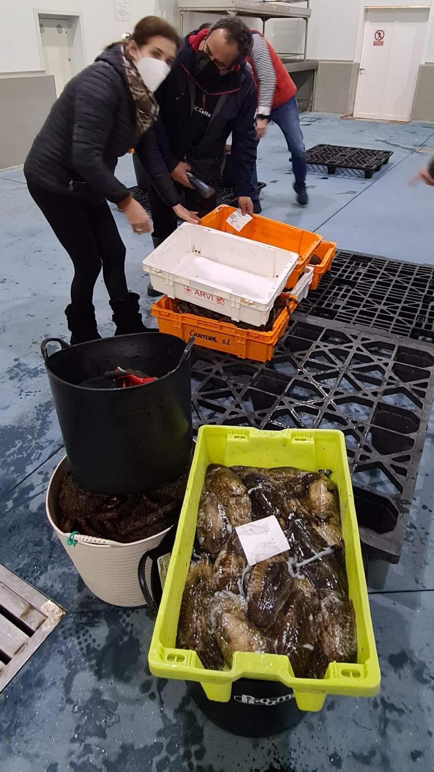 Blanca Cao, que vende en la plaza de O Grove, comprando choco en su lonja.