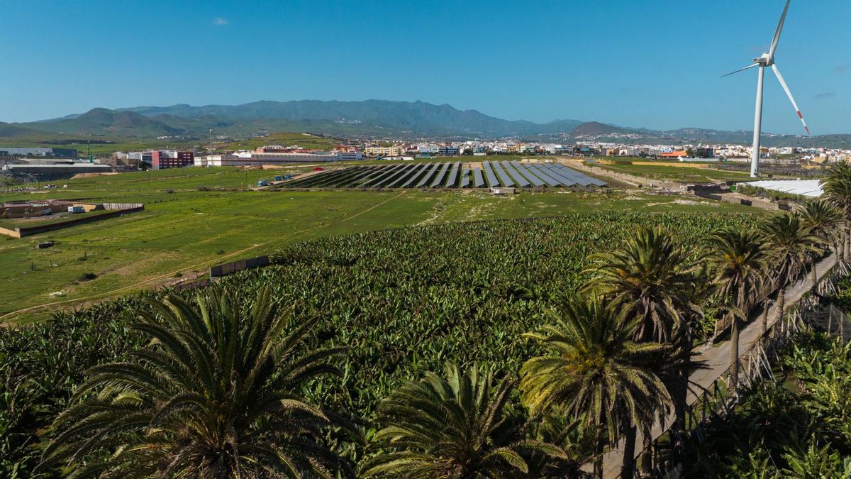 Naturgy tiene su mirada puesta en el horizonte renovable