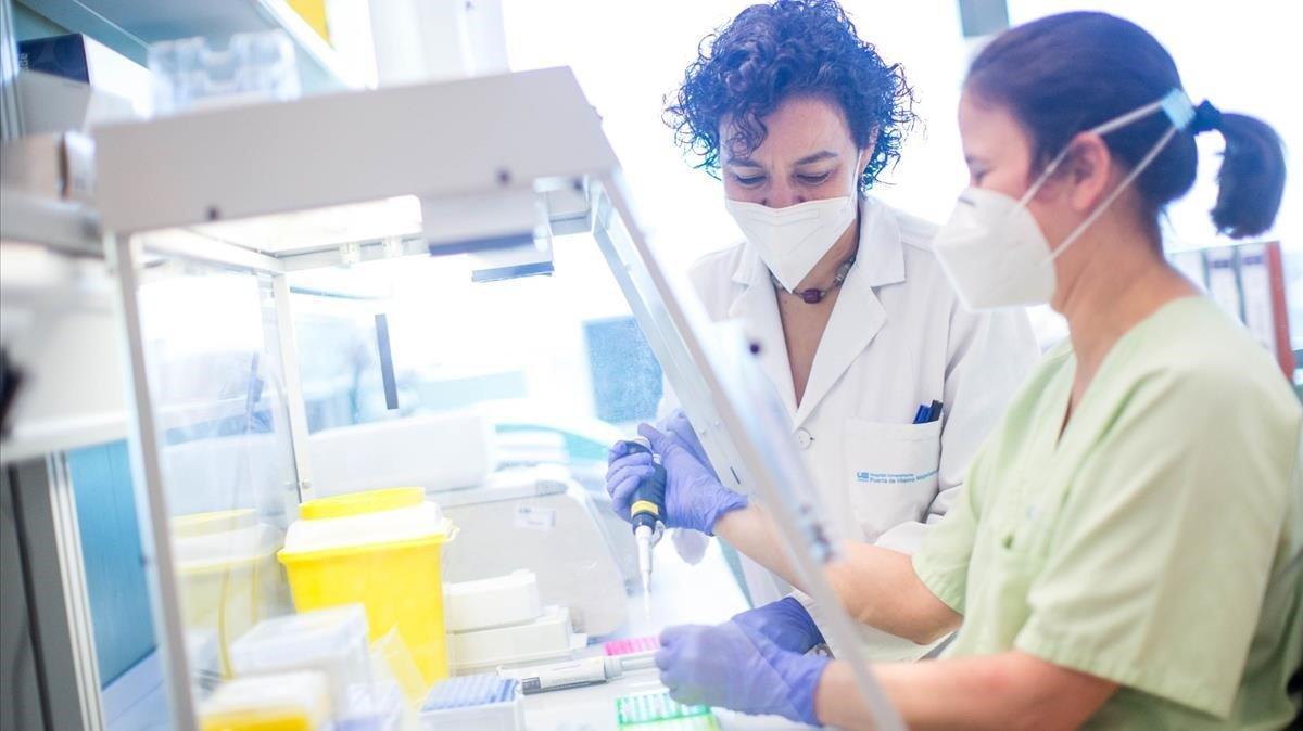 zentauroepp54041626 soc investigacion200708203311