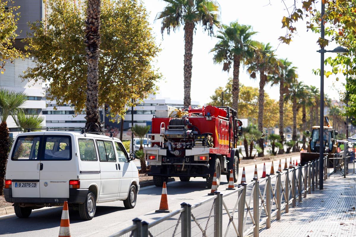 La visita al colegio Can Misses tras las inundaciones, en imágenes