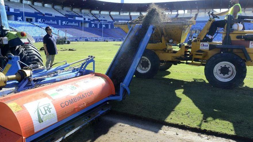 Comienza el cambio de césped en la Romareda