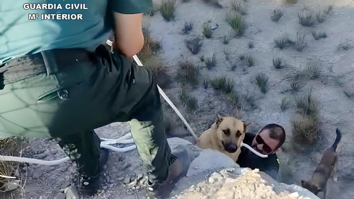 Rescatan a dos perros de una balsa de riego en Lorca