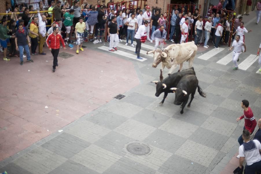 Becerrada, encierros y vaca de la sangría