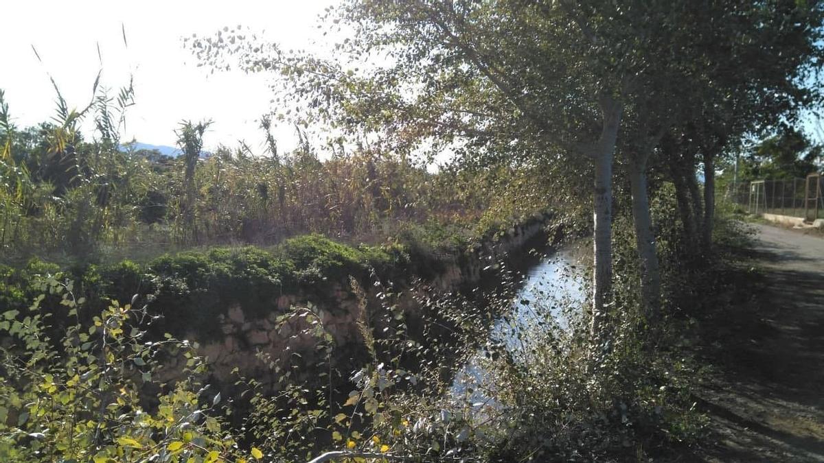 Una acequia de la huerta de Murcia