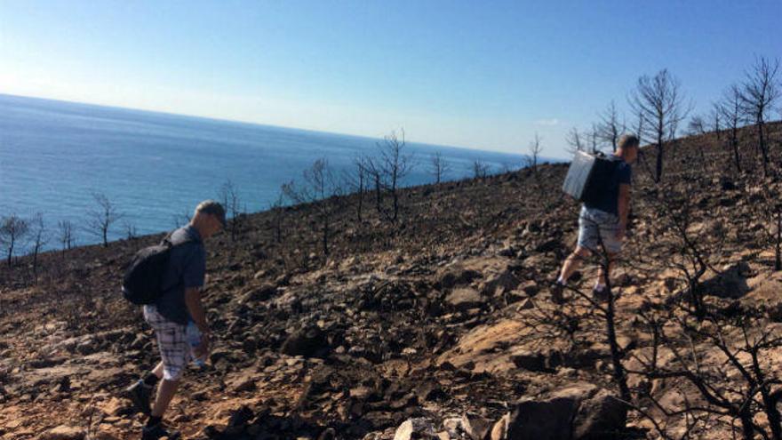 Combaten la erosión en la Granadella tras el incendio