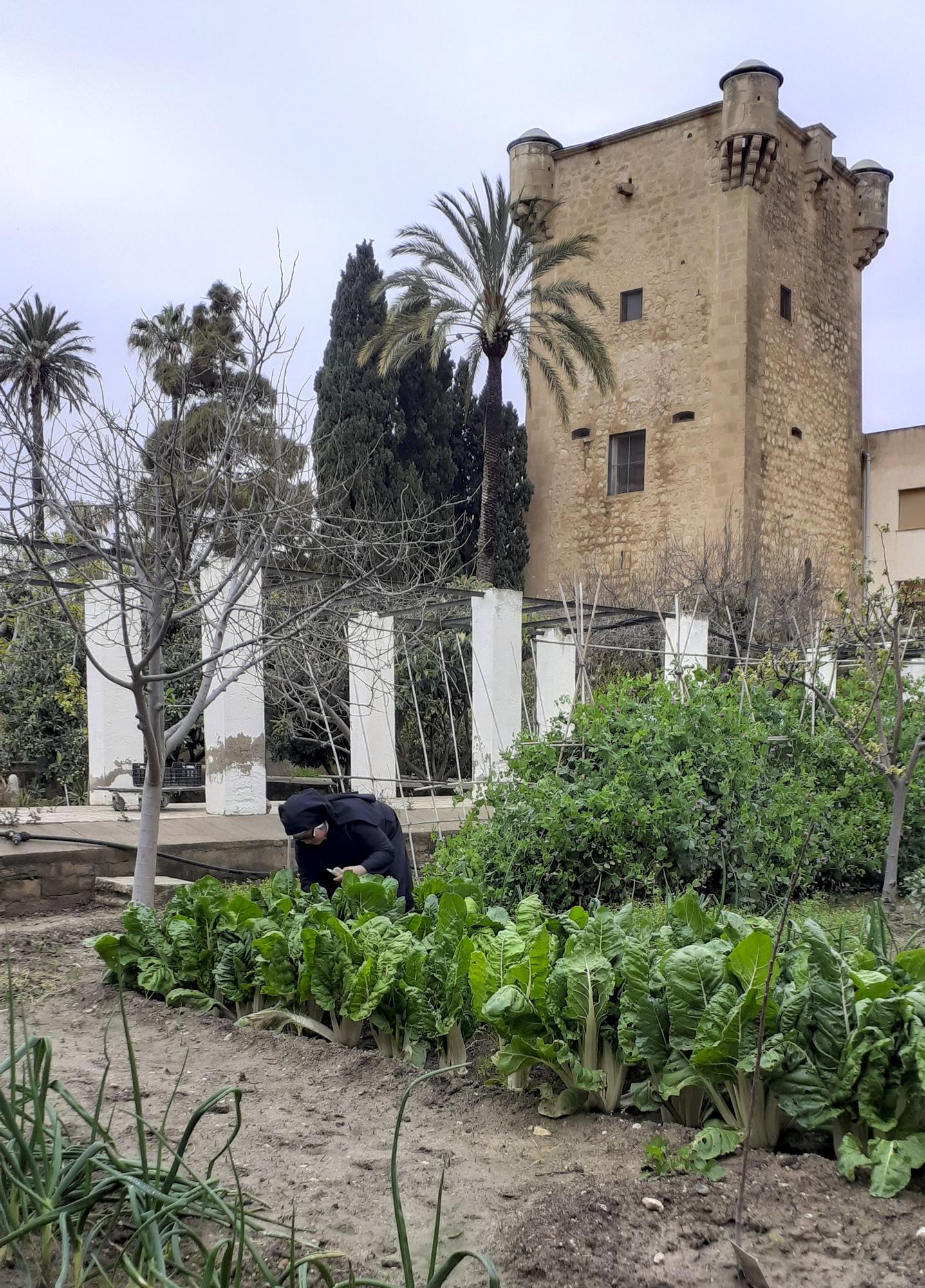 Las Monjas agustinas de Santa Faz preparan su primera Peregrina