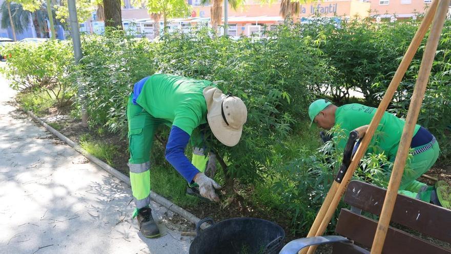 El impago municipal que deja al límite a quienes sostienen la inclusión laboral en Alicante