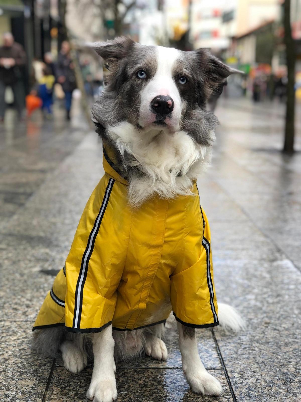 Trece en un dia de lluvia.