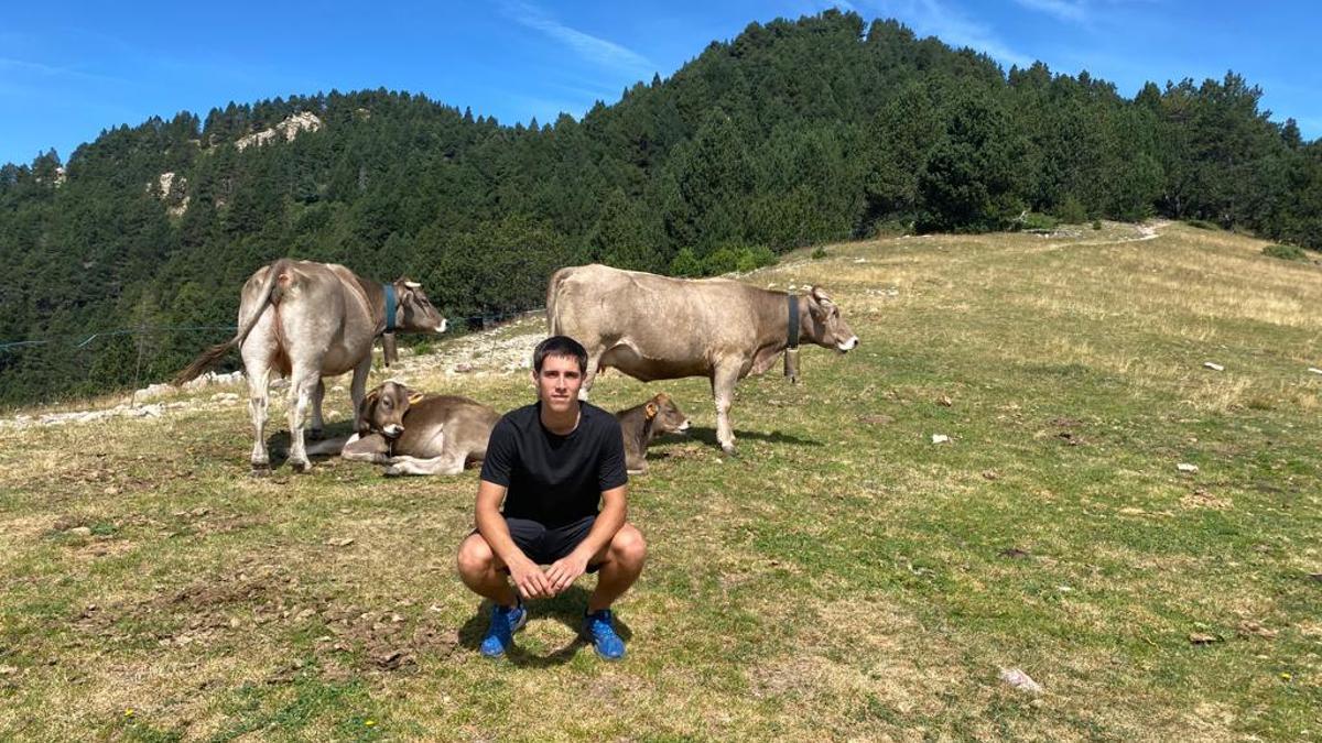 Oriol Carol, amb un ramat de vaques