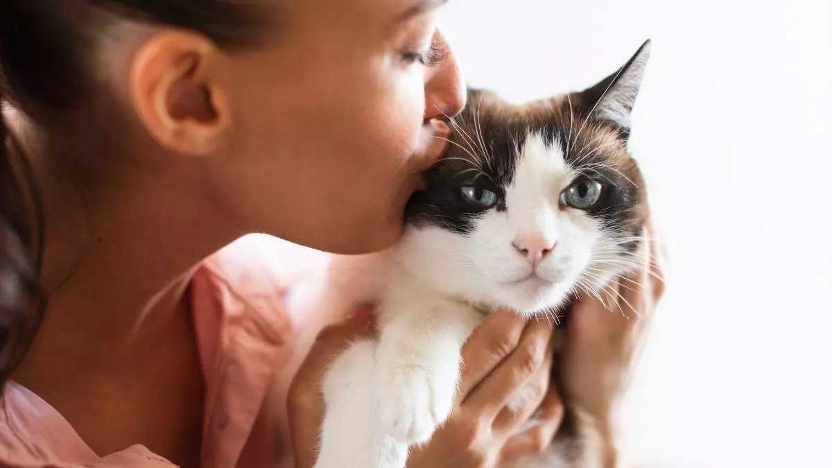 Los expertos en comportamiento felino advierten: estos gestos cotidianos enfurecen a tu gato y pueden estresarlo sin que lo notes