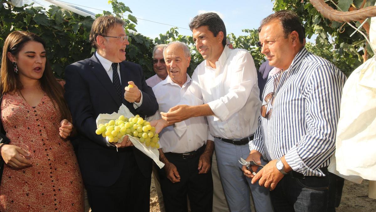 El jede del Consell, Ximo Puig, y el presidente de la Diputación de Alicante, Carlos Mazón.