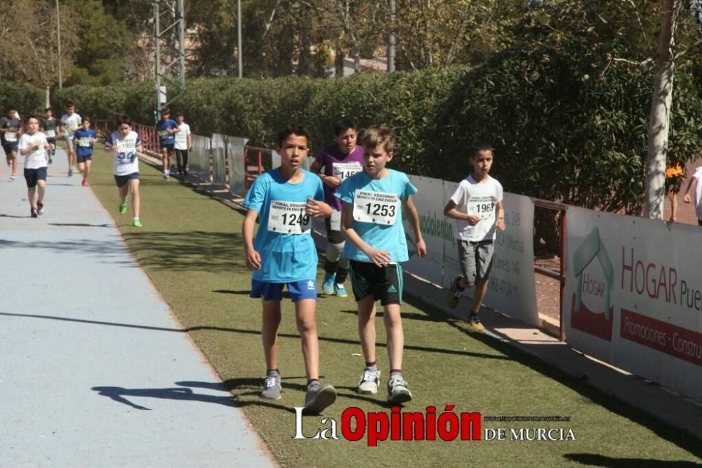 Final Cross Escolar de Lorca . Alevín masculino