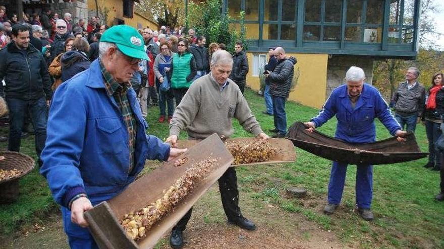 Un grupo de vecinos &quot;criban&quot; las castañas. // FdV