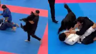 Un Golden Retriever entra en un ring de Jiujitsu para defender a su amo en pleno combate