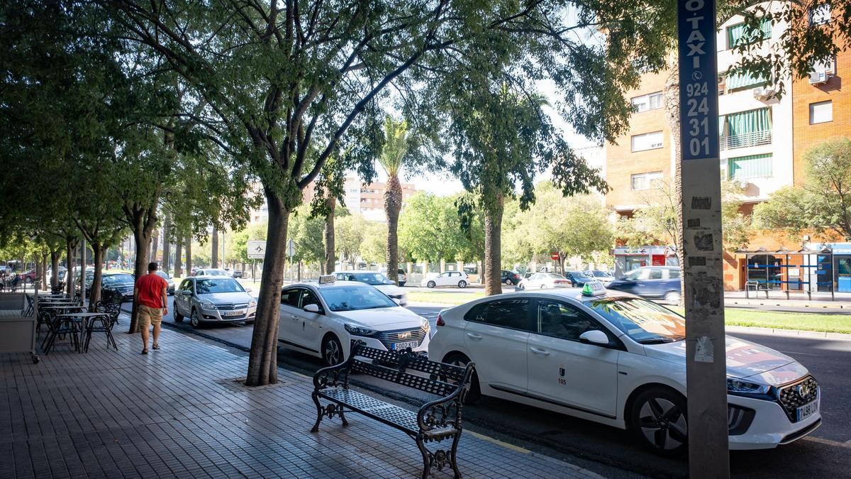 Dos taxis en una parada ubicada en la avenida Sinforiano Madroñero de Badajoz en una fotografía de archivo.