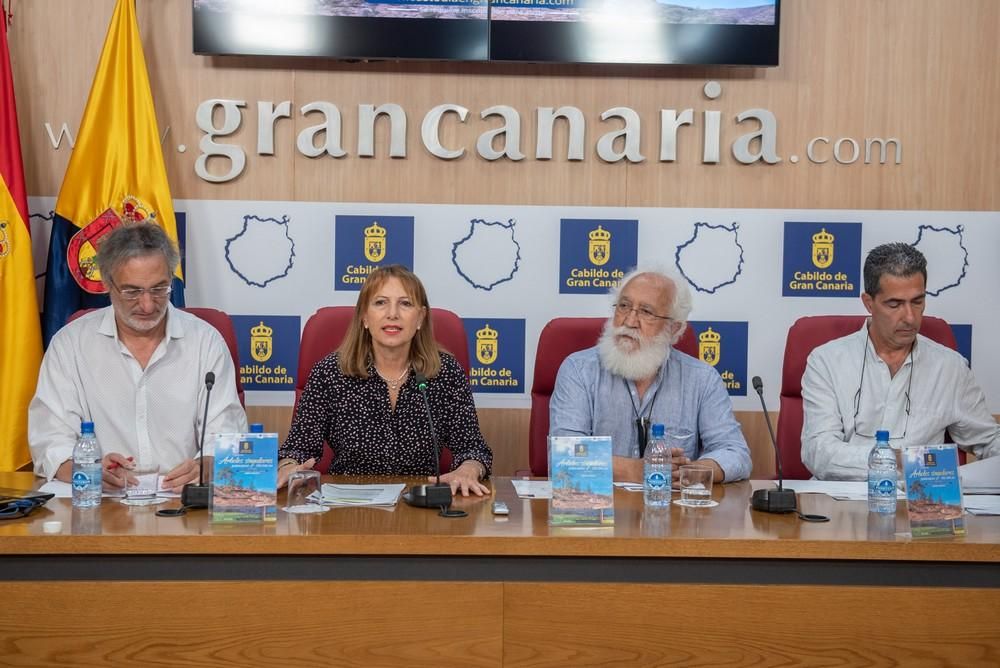 El Cabildo cataloga 85 árboles de Gran Canaria como singulares