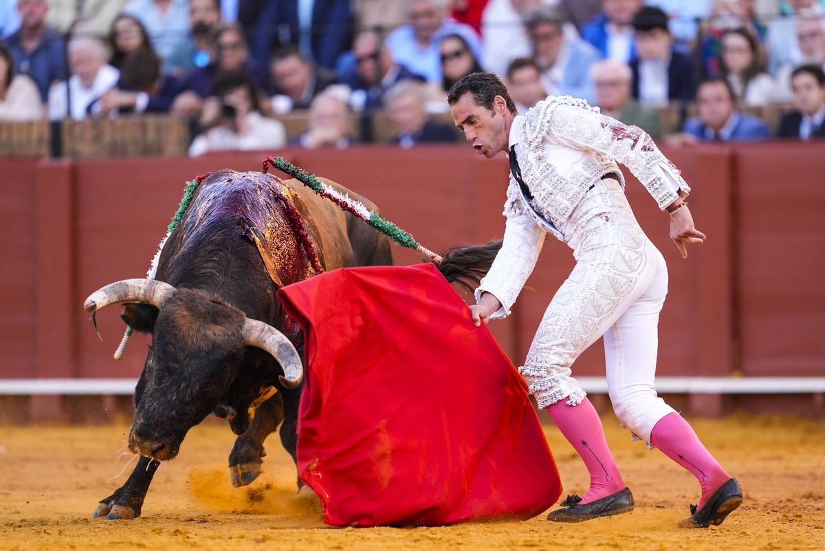 El torero Pepe Moral, este domingo en la Maestranza de Sevilla