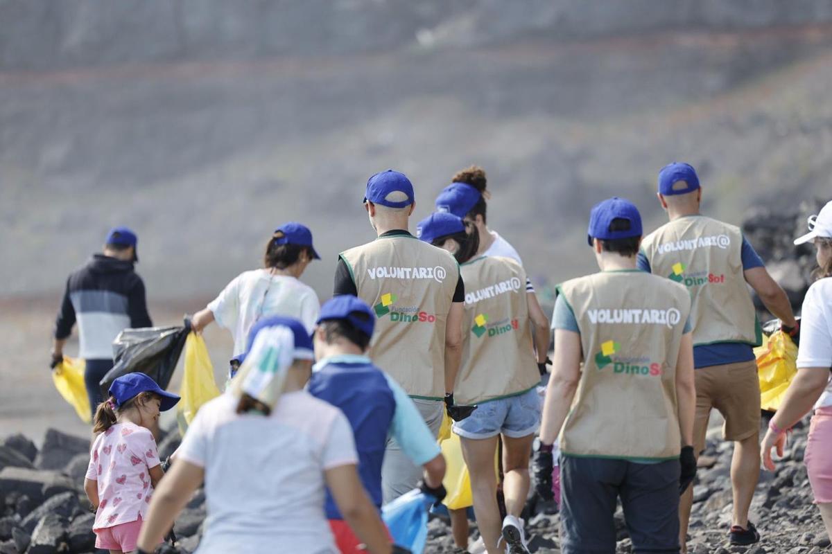Voluntarios en el momento de la acción en la playa de San Borondón (Telde)