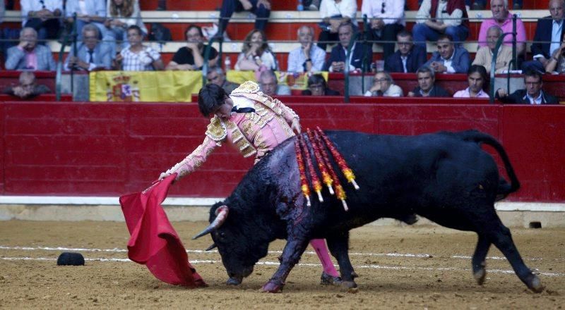 Novillada en la plaza de Toros