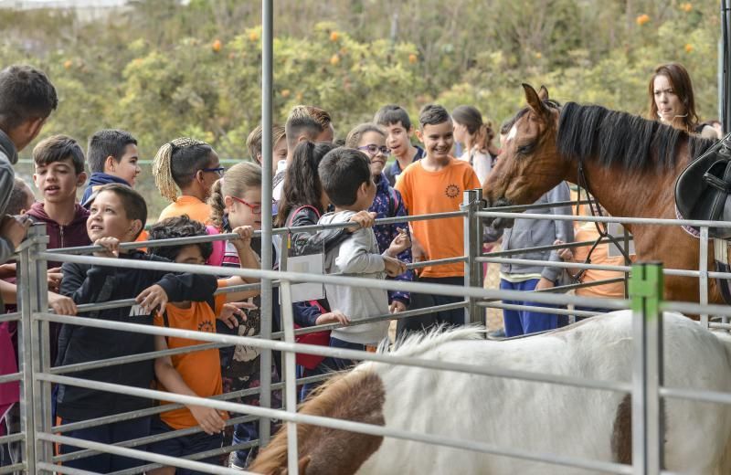 23/05/2018 ARUCAS. La Feria Escolar con más de 1.300 escolares, conocieron  y disfrutaron todo lo que ofrece el sector primario en la .Granja experimental del Cabildo. FOTO: J. PÉREZ CURBELO  | 23/05/2018 | Fotógrafo: José Pérez Curbelo