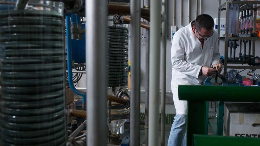 Investigación puntera en las plantas piloto de la Universidad de Alicante