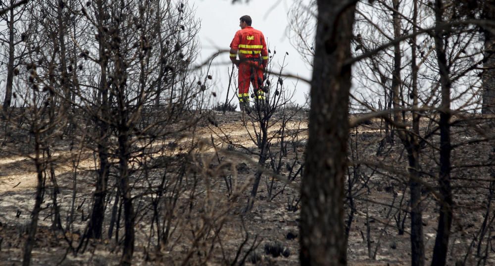 Andilla: ocho años desde su gran incendio