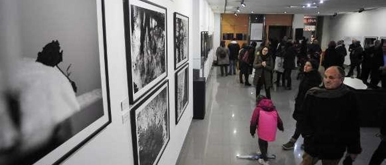 La exposición sobre Rosalía de Castro en Vilagarcía. // Iñaki Abella