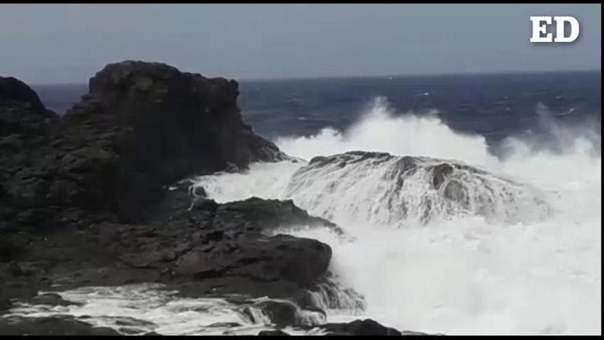 Susto en la costa de Gáldar