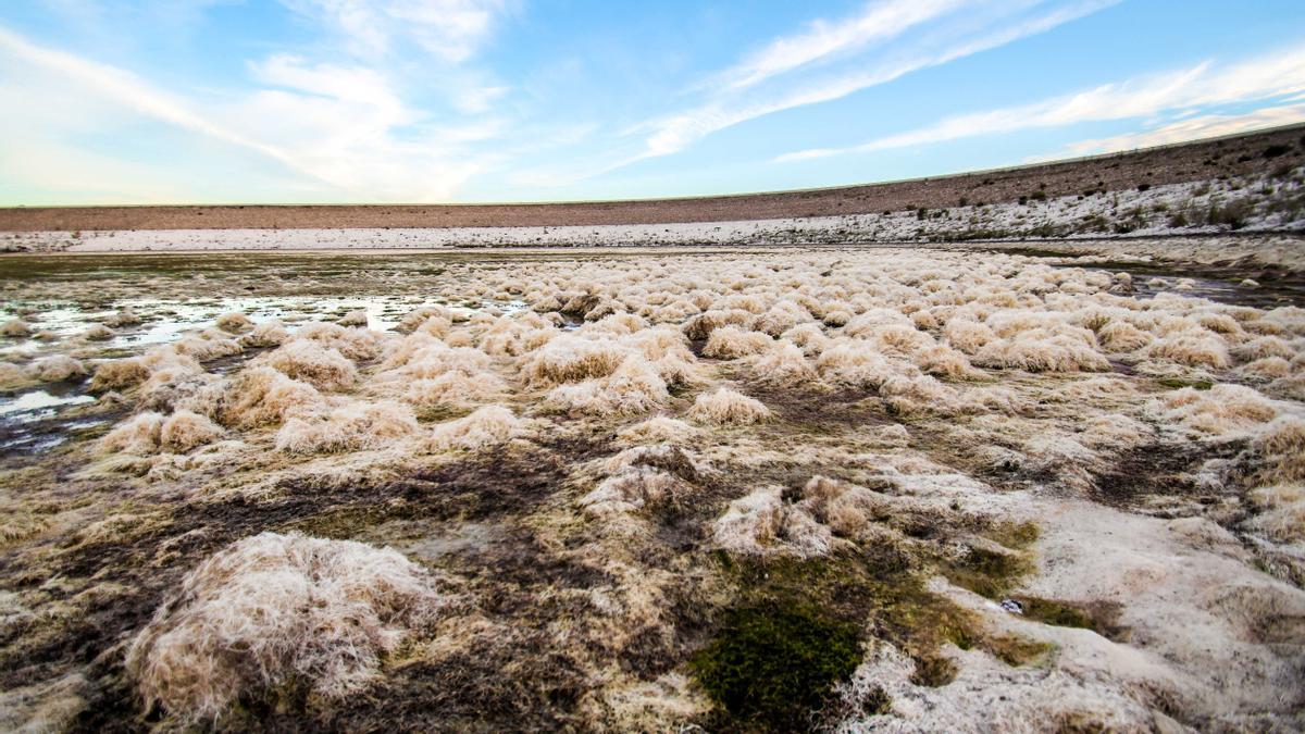 El embalse San Diego de Villena no se ha podido utilizar por las fugas de agua.