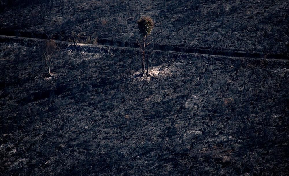 El incendio de Verín, aún activo, el más grande en lo que va de verano en Galicia