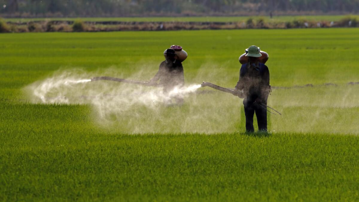 Alertan del riesgo de los herbicidas para los ecosistemas de agua dulce