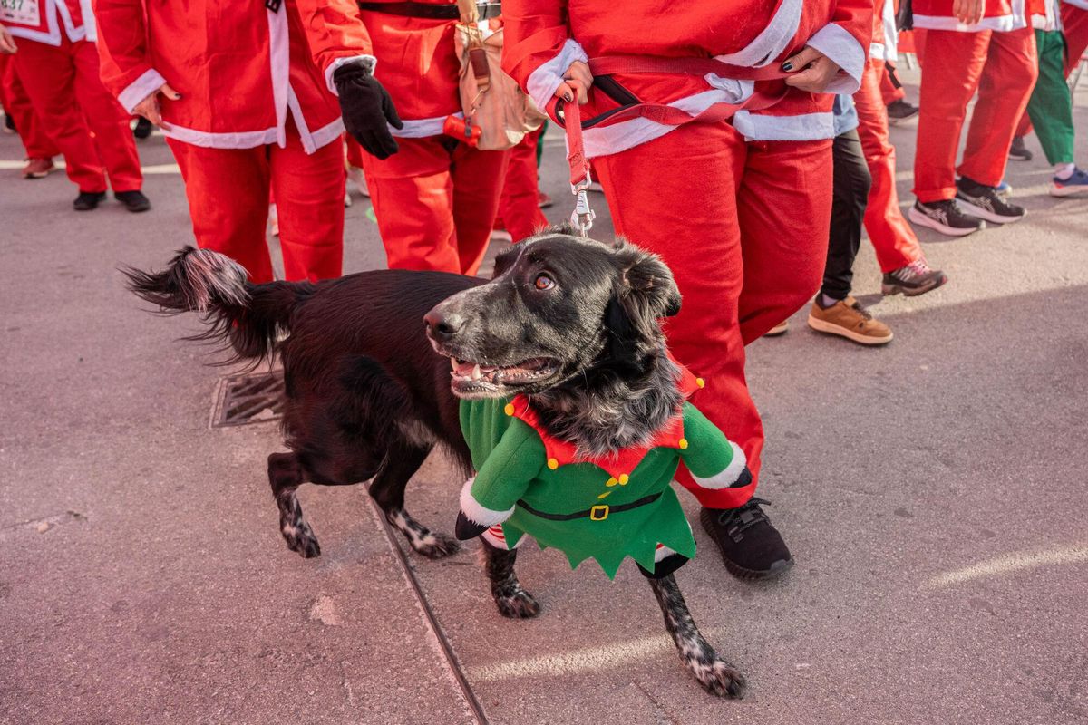 Cientos de Santa Claus corren por Barcelona en la primera Cursa del Pare Noel