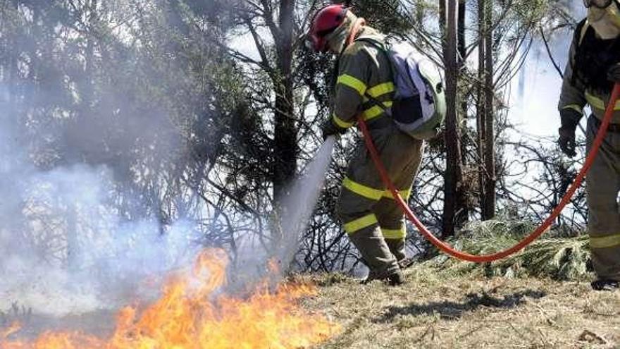 Agentes forestales, en la extinción de un incendio.  // Noe Parga