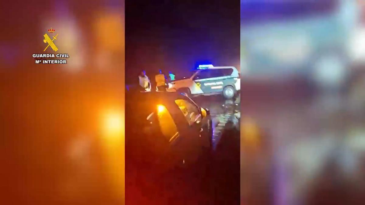 Vídeo | Cortan la AP-4 sentido Cádiz por la caída de un árbol en la calzada