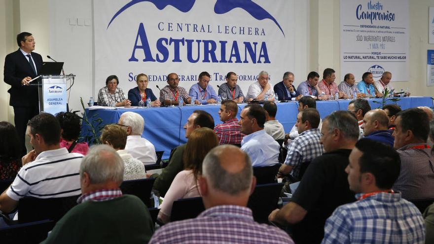 Central Lechera Asturiana triplica beneficios: 2,42 millones en 2016