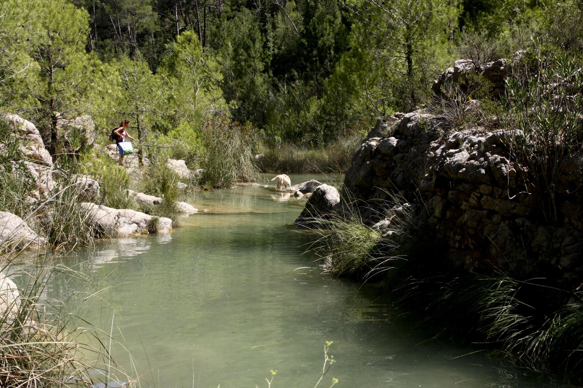 Un paseo por… Bicorp