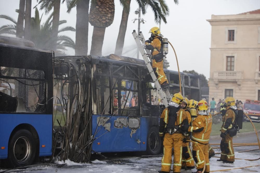 Stadtbus brennt vor der Kathedrale von Palma ab