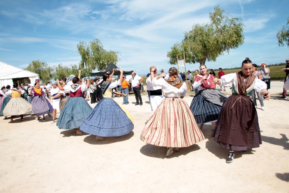 Fiesta de la Siega del Arroz