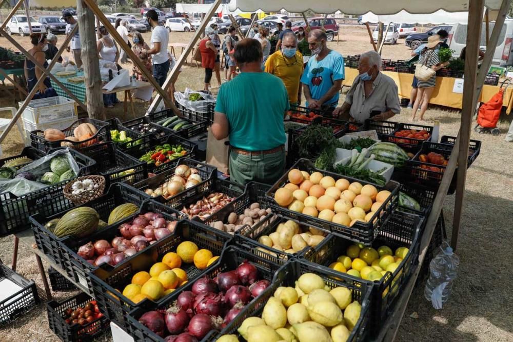 Mercat de sa Cooperativa