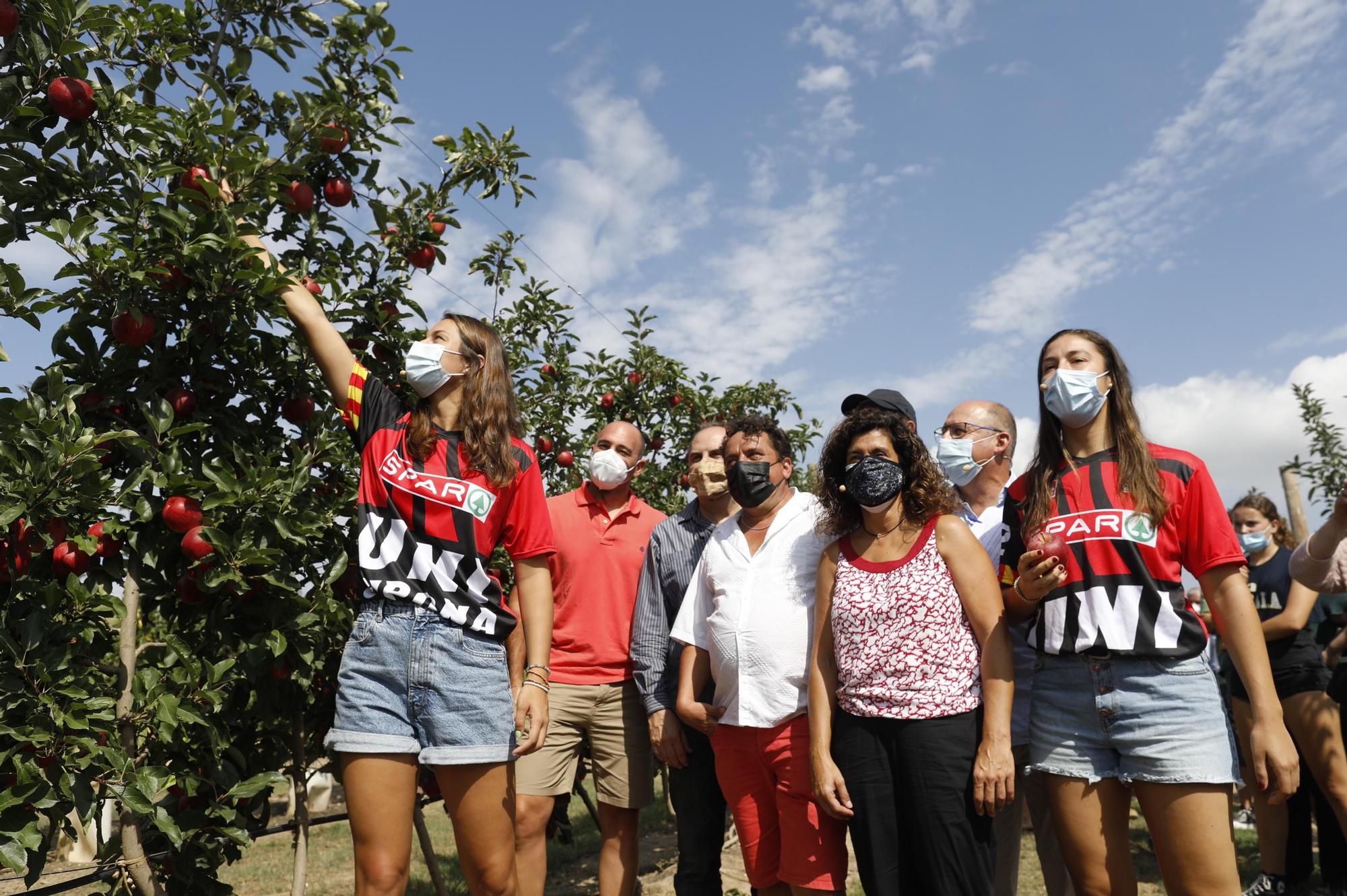 Bàsquet i pomes de Girona planten cara als poderosos