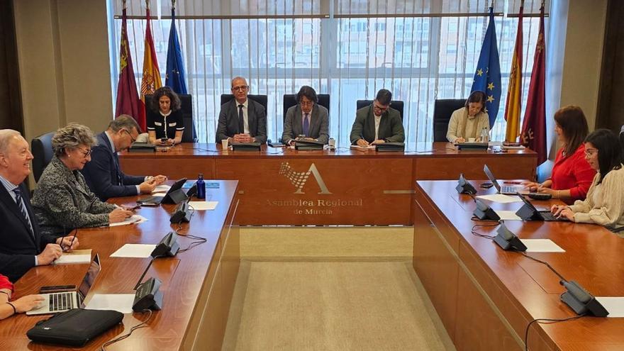 Comparecencia del consejero Víctor Marín en la Comisión de Infancia y Adolescencia de la Asamblea Regional este miércoles. | L. O.