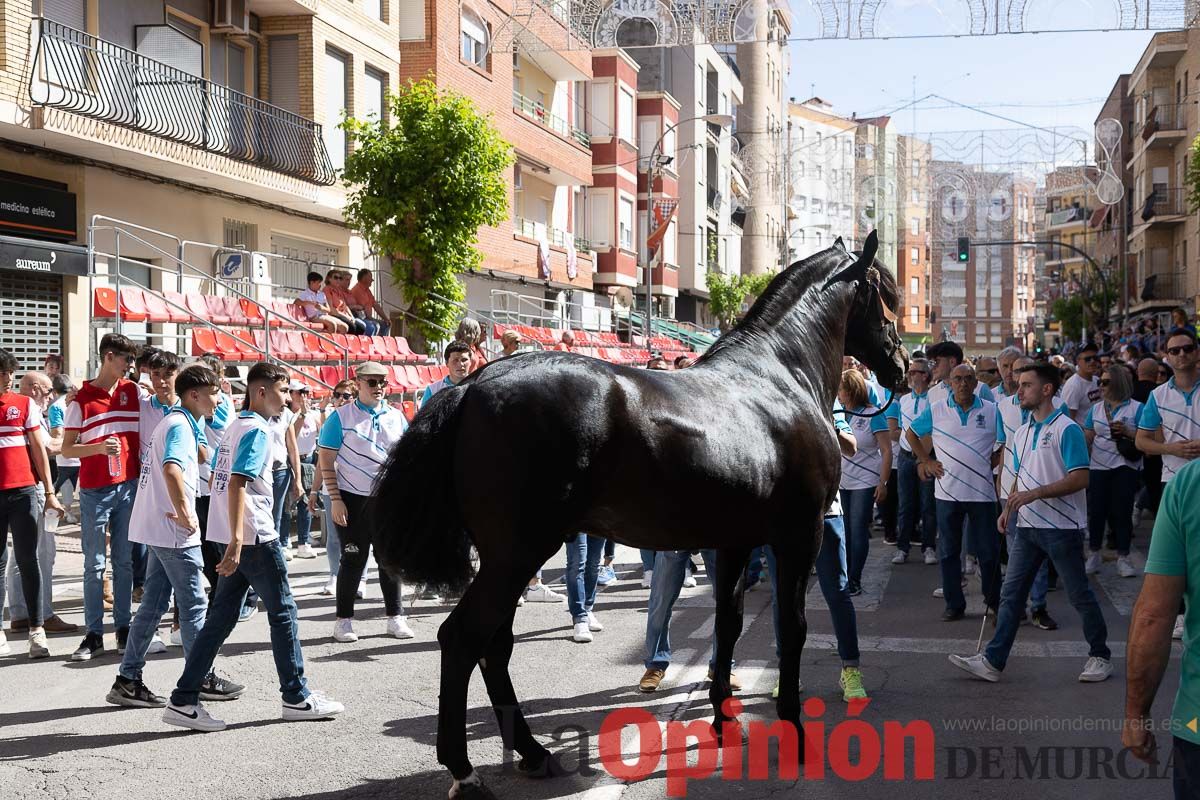 Pasacalles caballos del vino al hoyo