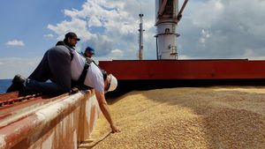 Inspección de un cargamento de trigo ucraniano a su paso por aguas turcas.