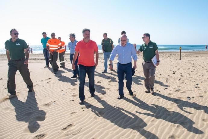 Segunda fase del proyecto de recuperación de las dunas de Maspalomas