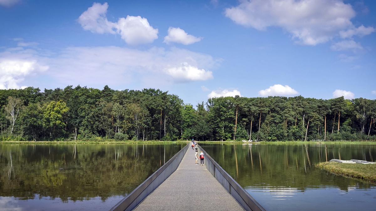 De Wijers: la ruta en bici con la que atravesar, literalmente, un lago